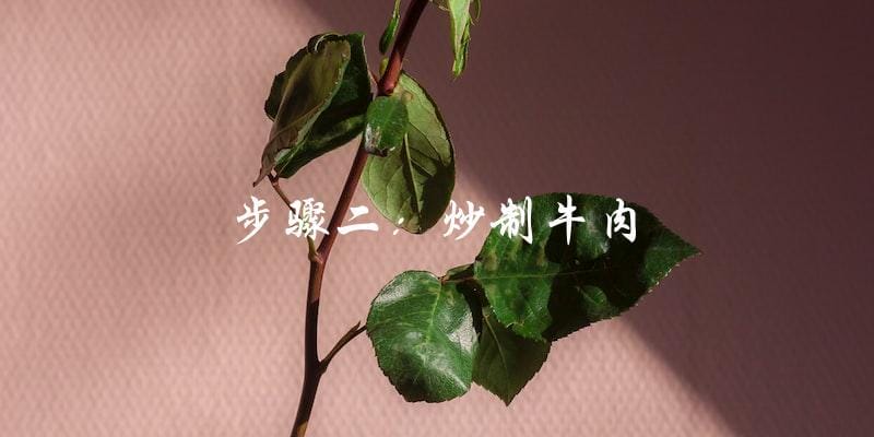 步骤二:炒制牛肉 步骤二:炒制牛肉