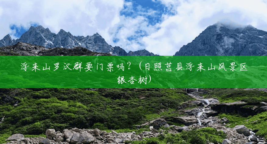 浮来山罗汉群要门票吗?(日照莒县浮来山风景区银杏树) 浮来山罗汉群要门票吗?(日照莒县浮来山风景区银杏树)