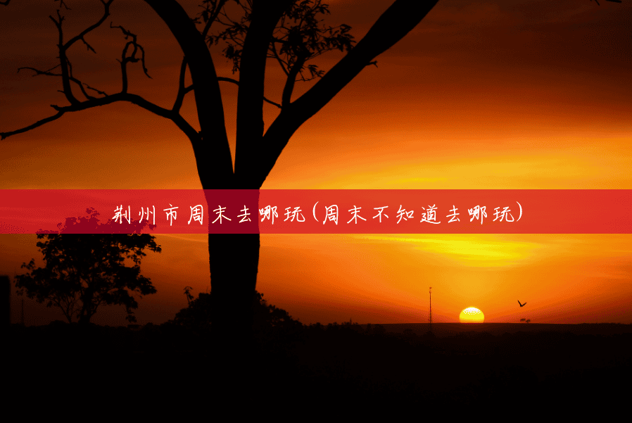 荆州市周末去哪玩(周末不知道去哪玩)