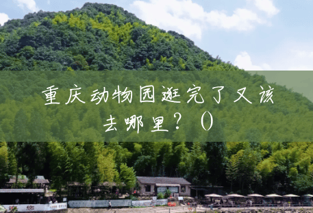 重庆动物园逛完了又该去哪里？()