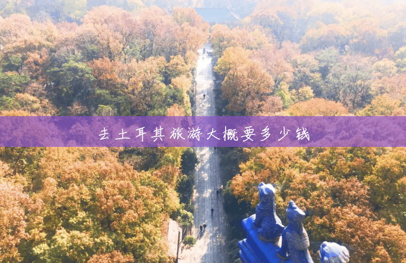 去土耳其旅游大概要多少钱 去土耳其旅游大概要多少钱