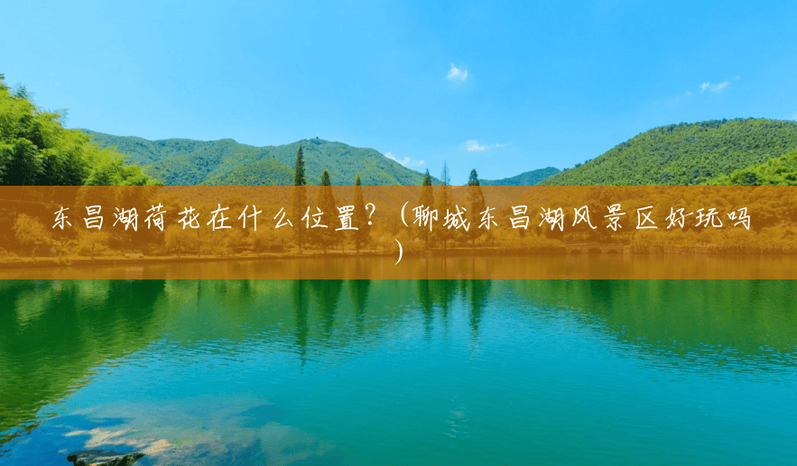 东昌湖荷花在什么位置？(聊城东昌湖风景区好玩吗)