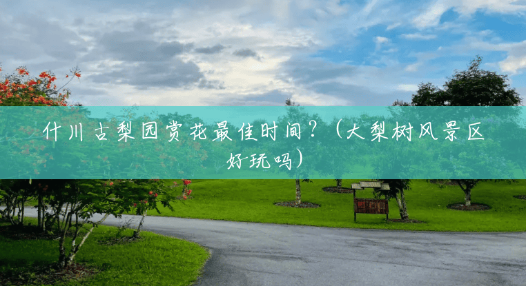 什川古梨园赏花最佳时间?(大梨树风景区好玩吗) 什川古梨园赏花最佳时间?(大梨树风景区好玩吗)