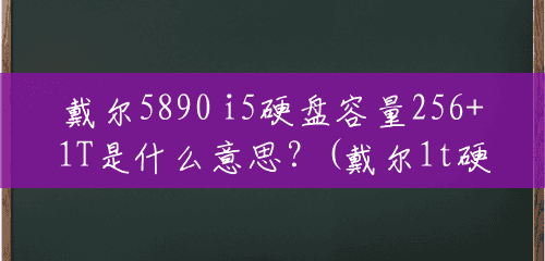戴尔5890 i5硬盘容量256+1T是什么意思？(戴尔1t硬盘多少钱一个)
