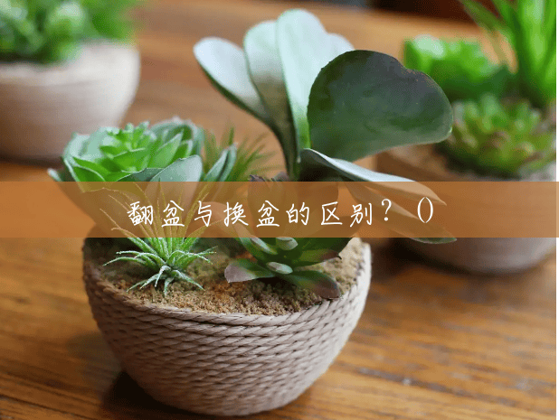 翻盆与换盆的区别？()