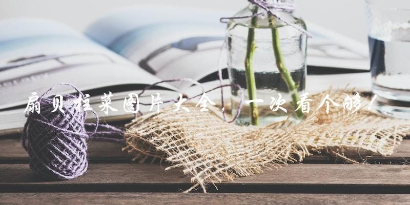 扇贝柱菜图片大全,一次看个够! 扇贝柱菜图片大全,一次看个够!