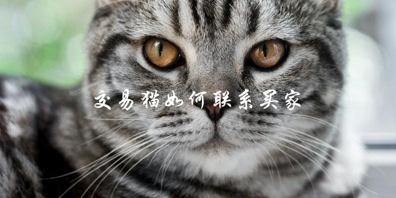 如何在交易猫上联系买家? 如何在交易猫上联系买家?
