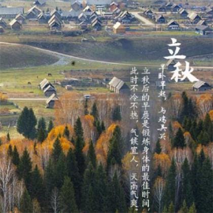 尊重老师的唯美句子