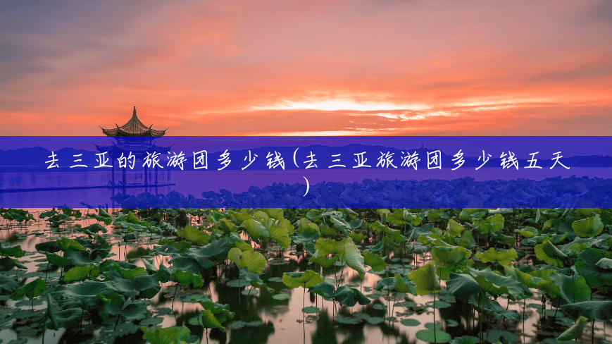 去三亚的旅游团多少钱(去三亚旅游团多少钱五天) 去三亚的旅游团多少钱(去三亚旅游团多少钱五天)