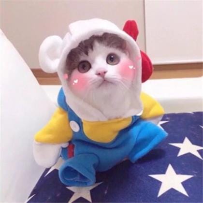 小学日积月累名言大全