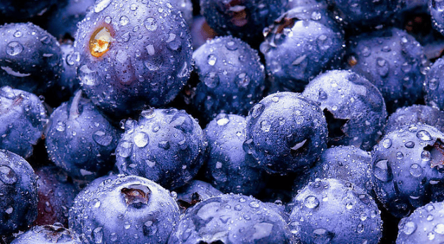 zokhnedpwbz561.png