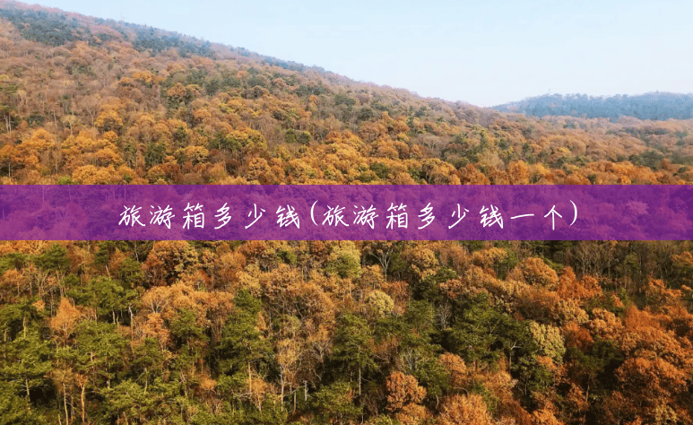 旅游箱多少钱(旅游箱多少钱一个)