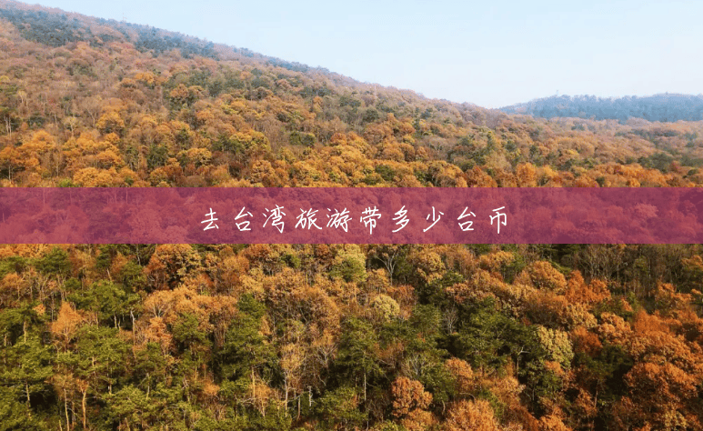 去台湾旅游带多少台币 去台湾旅游带多少台币