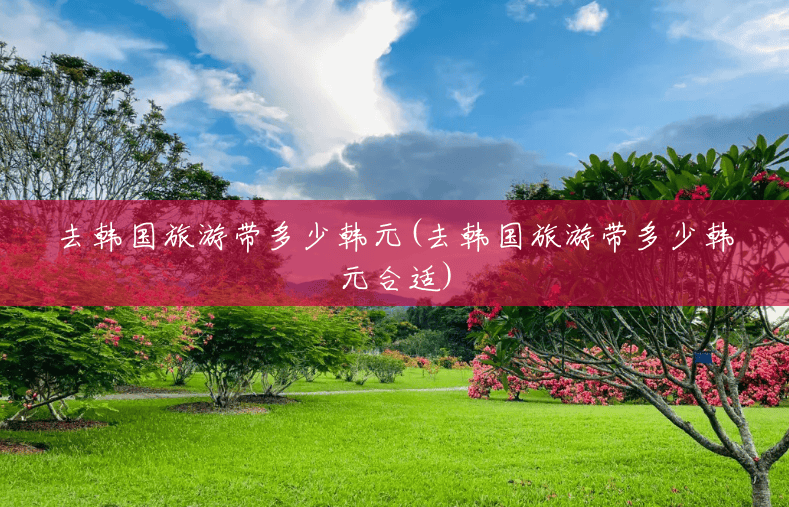去韩国旅游带多少韩元(去韩国旅游带多少韩元合适)
