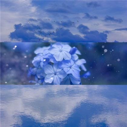 元旦群发祝福短信大全