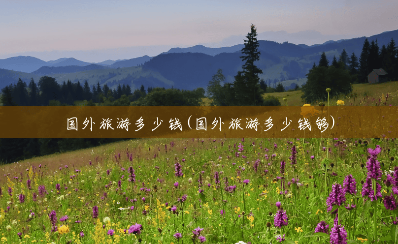 国外旅游多少钱(国外旅游多少钱够) 国外旅游多少钱(国外旅游多少钱够)