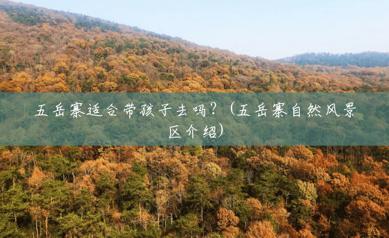 五岳寨适合带孩子去吗?(五岳寨自然风景区介绍) 五岳寨适合带孩子去吗?(五岳寨自然风景区介绍)