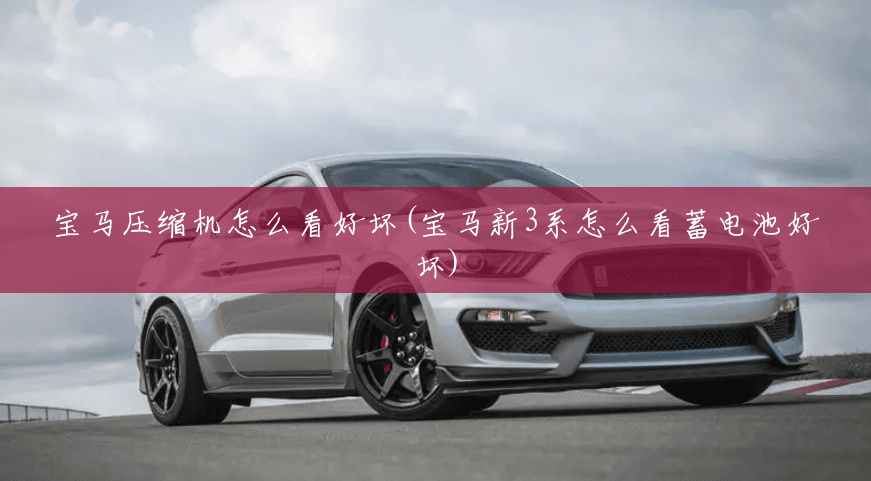宝马压缩机怎么看好坏(宝马新3系怎么看蓄电池好坏) 宝马压缩机怎么看好坏(宝马新3系怎么看蓄电池好坏)