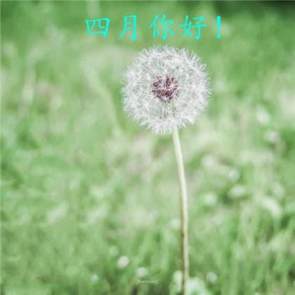 晚上发的励志语录