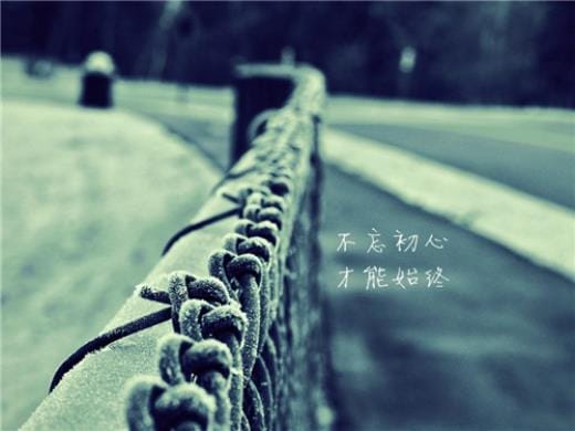 描写水仙花叶子的句子