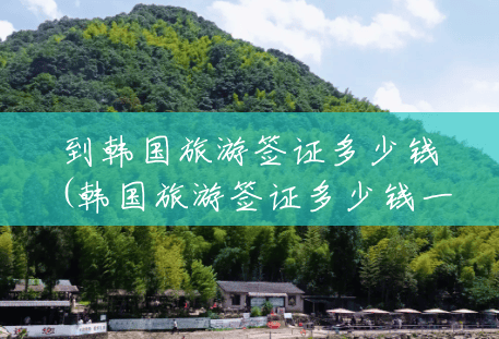 到韩国旅游签证多少钱(韩国旅游签证多少钱一次) 到韩国旅游签证多少钱(韩国旅游签证多少钱一次)