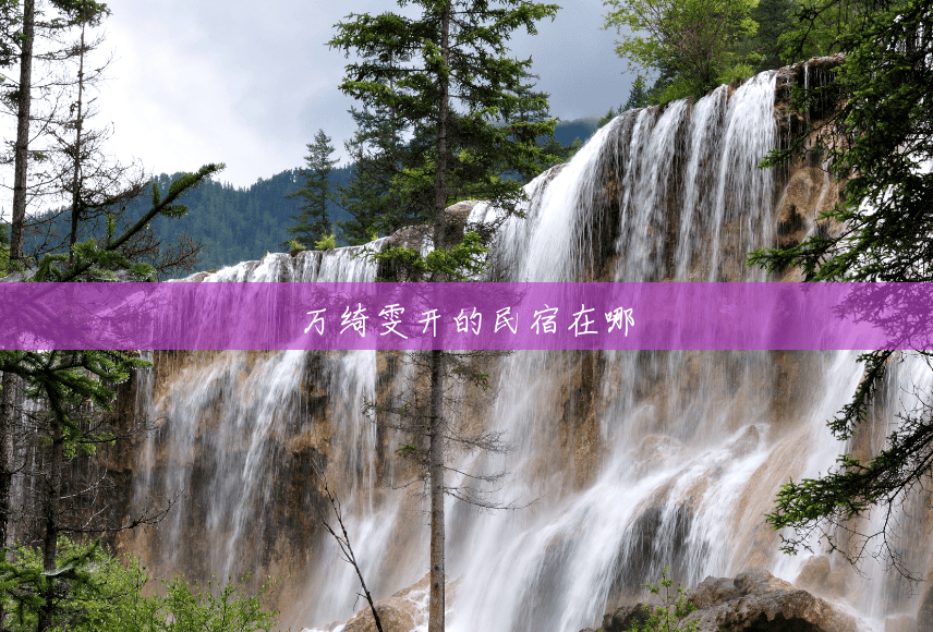 万绮雯开的民宿在哪