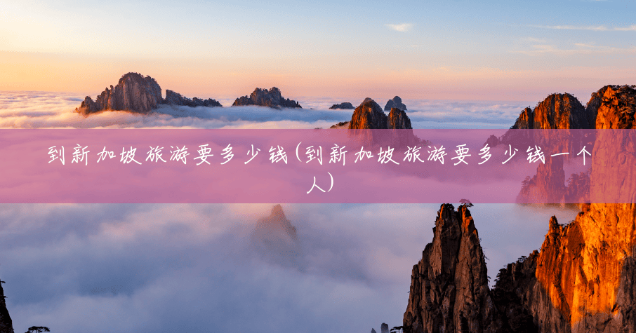 到新加坡旅游要多少钱(到新加坡旅游要多少钱一个人)