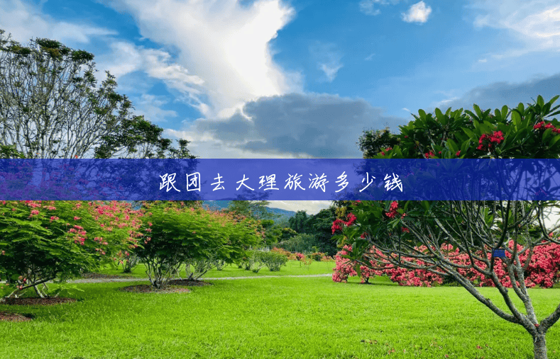 跟团去大理旅游多少钱 跟团去大理旅游多少钱