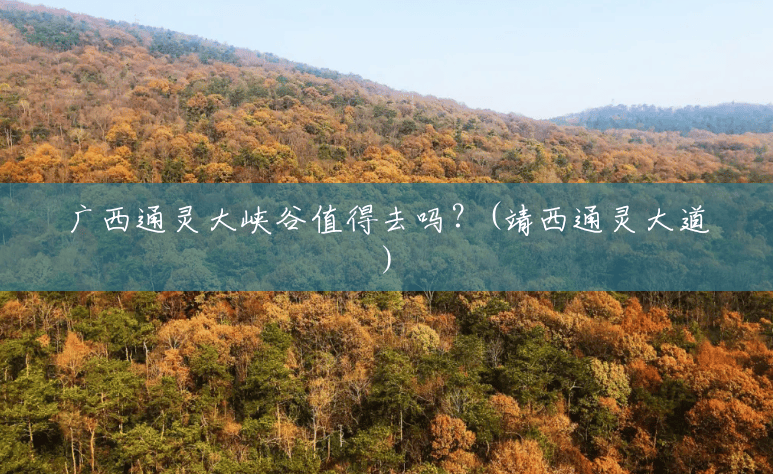 广西通灵大峡谷值得去吗?(靖西通灵大道) 广西通灵大峡谷值得去吗?(靖西通灵大道)