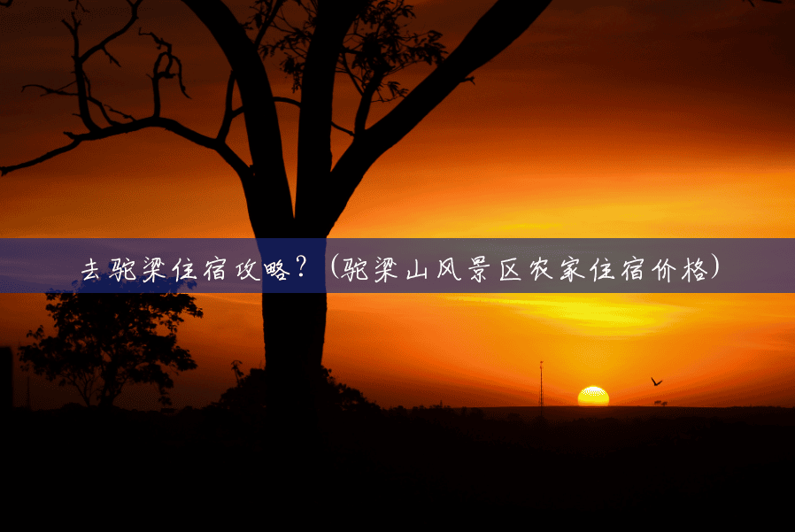 去驼梁住宿攻略?(驼梁山风景区农家住宿价格) 去驼梁住宿攻略?(驼梁山风景区农家住宿价格)