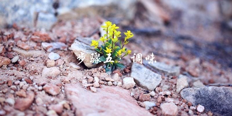 步骤五:调味 步骤五:调味
