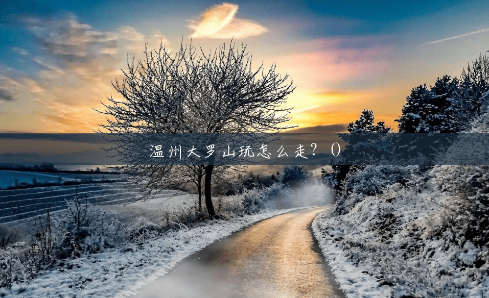 温州大罗山玩怎么走?() 温州大罗山玩怎么走?()