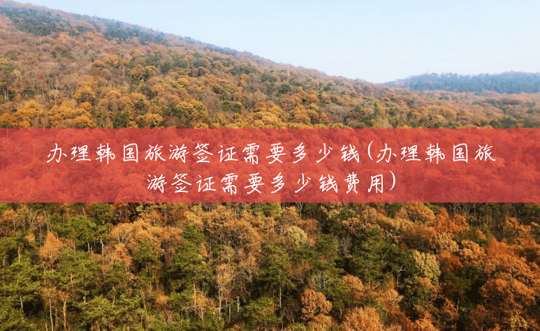办理韩国旅游签证需要多少钱(办理韩国旅游签证需要多少钱费用) 办理韩国旅游签证需要多少钱(办理韩国旅游签证需要多少钱费用)