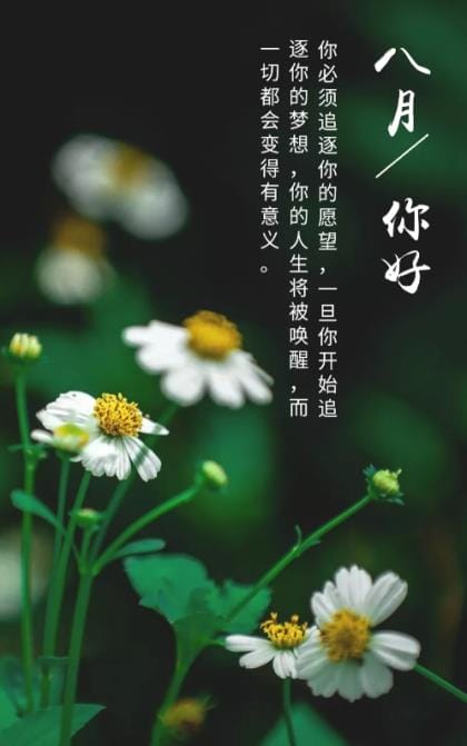 励志短句致自己8个字