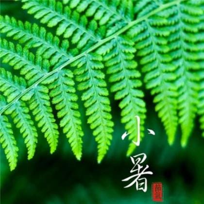祝愿未来可期的唯美句子