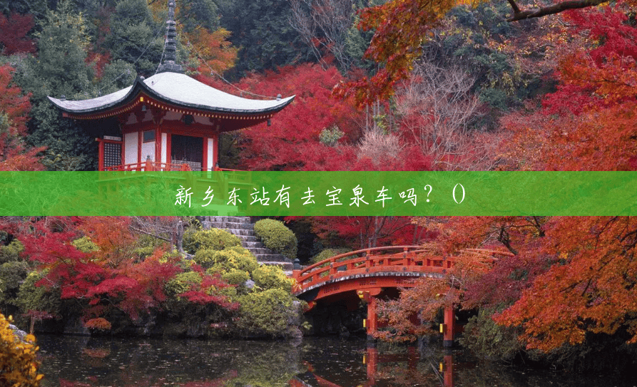 新乡东站有去宝泉车吗?() 新乡东站有去宝泉车吗?()