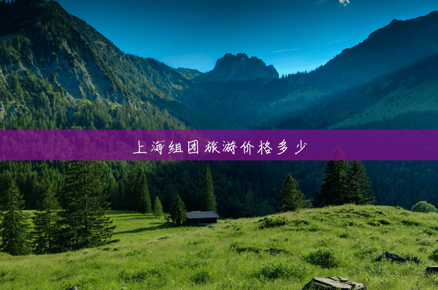 上海组团旅游价格多少