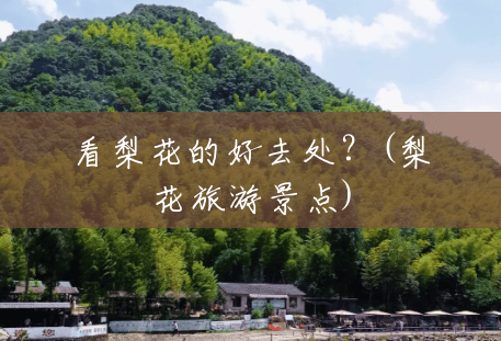 看梨花的好去处？(梨花旅游景点)