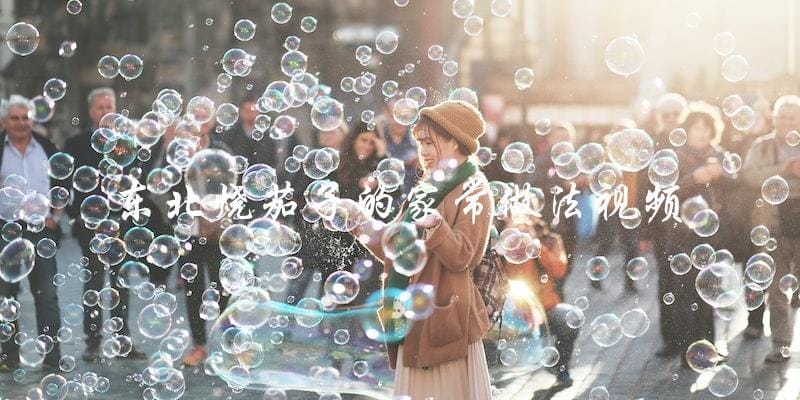 学习东北烧茄子的家常做法，看视频就够了！