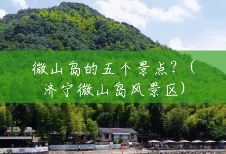 微山岛的五个景点?(济宁微山岛风景区) 微山岛的五个景点?(济宁微山岛风景区)