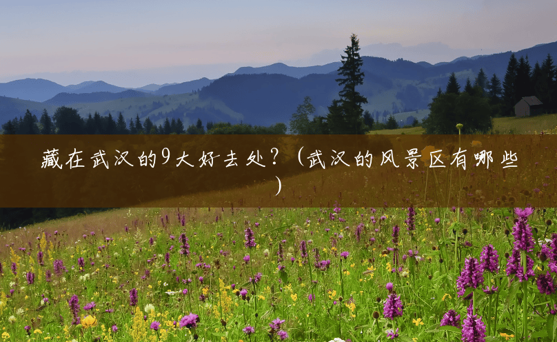 藏在武汉的9大好去处?(武汉的风景区有哪些) 藏在武汉的9大好去处?(武汉的风景区有哪些)