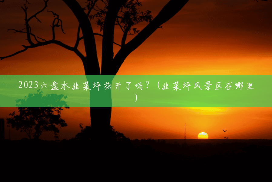 2023六盘水韭菜坪花开了吗?(韭菜坪风景区在哪里) 2023六盘水韭菜坪花开了吗?(韭菜坪风景区在哪里)
