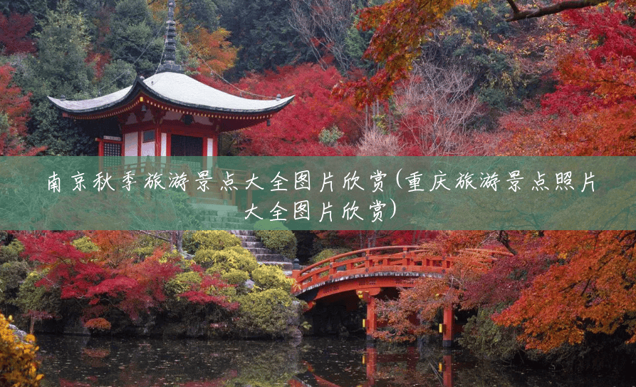 南京秋季旅游景点大全图片欣赏(重庆旅游景点照片大全图片欣赏) 南京秋季旅游景点大全图片欣赏(重庆旅游景点照片大全图片欣赏)