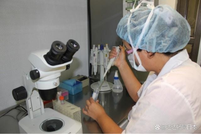 如何用电脑马赛克视频中的个人隐私内容