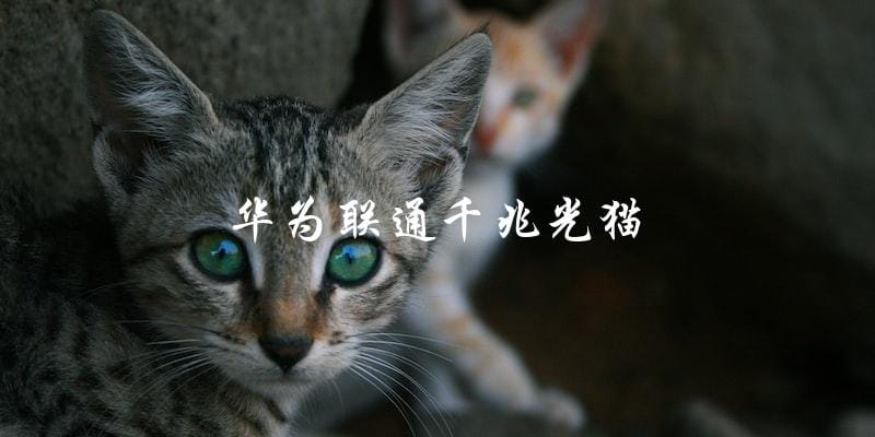 华为联通千兆光猫，你了解多少？