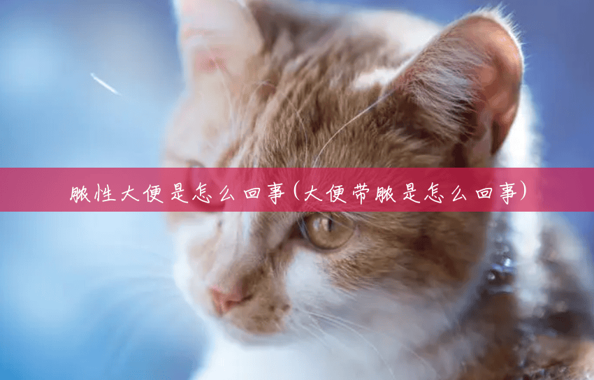 脓性大便是怎么回事(大便带脓是怎么回事) 脓性大便是怎么回事(大便带脓是怎么回事)