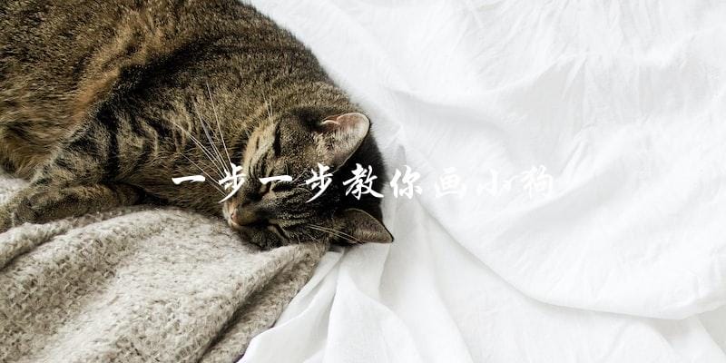 如何一步一步教你画小狗? 如何一步一步教你画小狗?