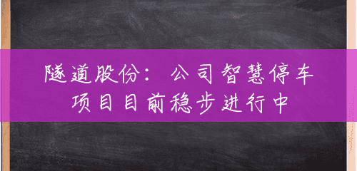 隧道股份:公司智慧停车项目目前稳步进行中 隧道股份:公司智慧停车项目目前稳步进行中