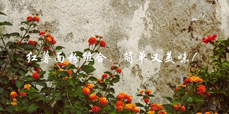 红薯面粉组合,简单又美味! 红薯面粉组合,简单又美味!