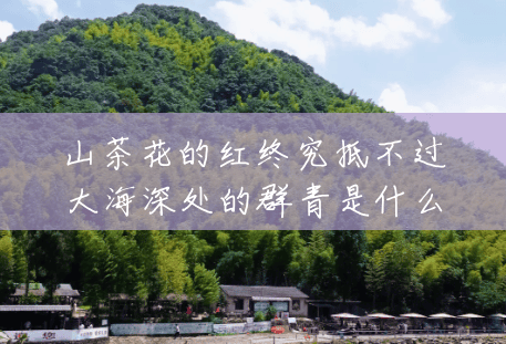 山茶花的红终究抵不过大海深处的群青是什么意思?(海洋红风景区门票价) 山茶花的红终究抵不过大海深处的群青是什么意思?(海洋红风景区门票价)